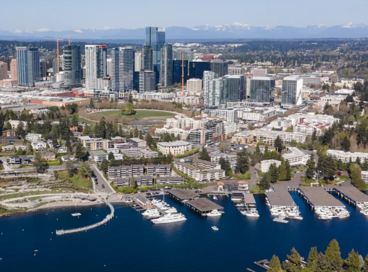 Electric Companies in Bellevue
